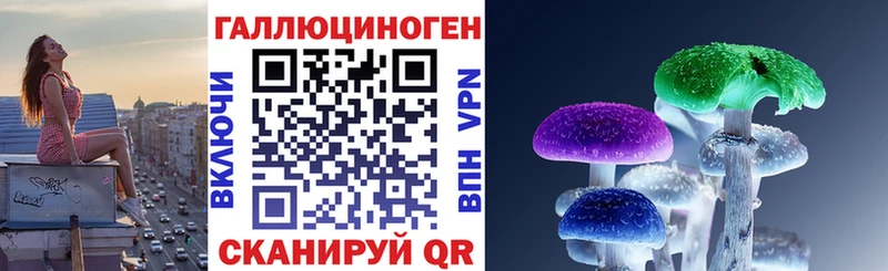 Купить закладки  Туран  Галлюциногенные грибы MAGIC MUSHROOMS 